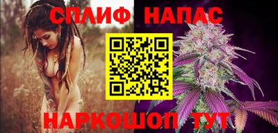 молекула духа Кандалакша