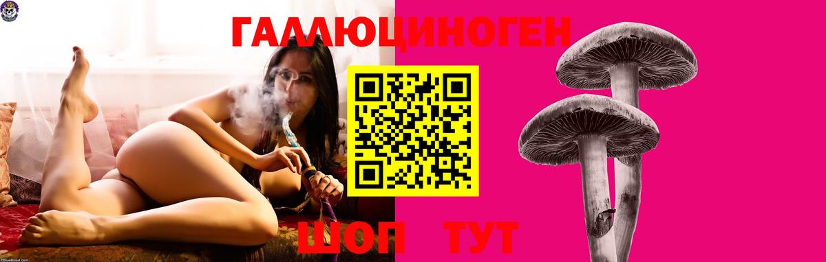 Галлюциногенные грибы мухоморы Георгиевск