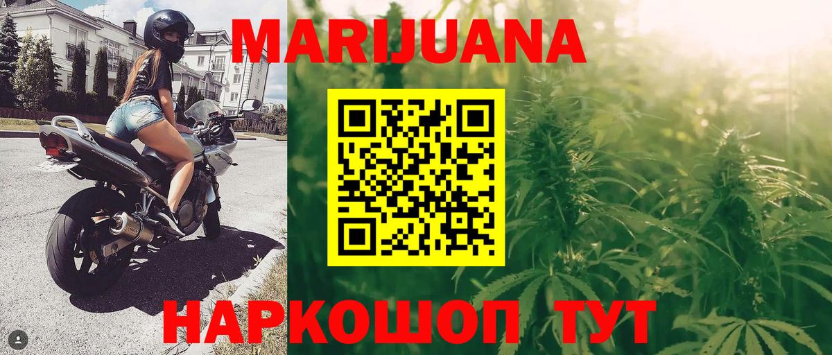 Бошки Шишки план Георгиевск